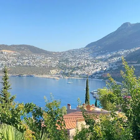 Kalkan Mahallesi, Zeytinlik Caddesi No:210 *
